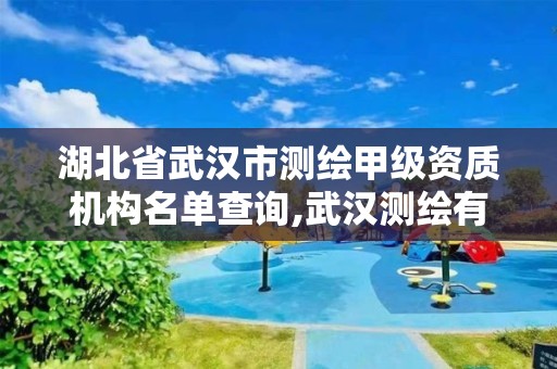 湖北省武汉市测绘甲级资质机构名单查询,武汉测绘有限公司。