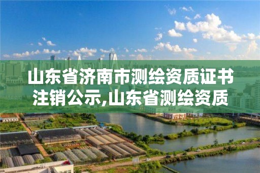 山东省济南市测绘资质证书注销公示,山东省测绘资质专用章图片。