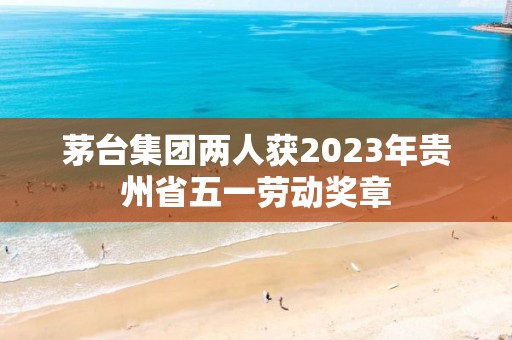 茅台集团两人获2023年贵州省五一劳动奖章