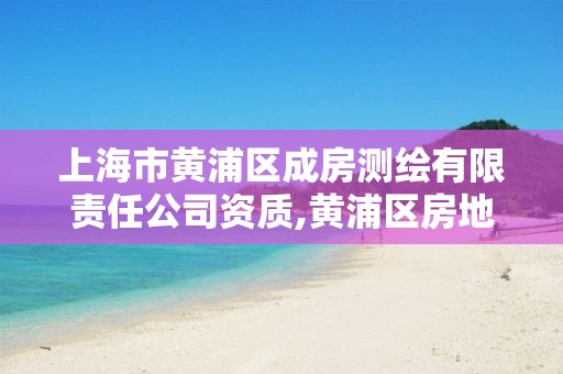 上海市黄浦区成房测绘有限责任公司资质,黄浦区房地产测绘中心。