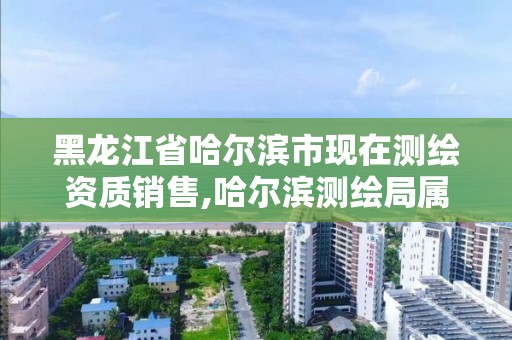 黑龙江省哈尔滨市现在测绘资质销售,哈尔滨测绘局属于什么单位