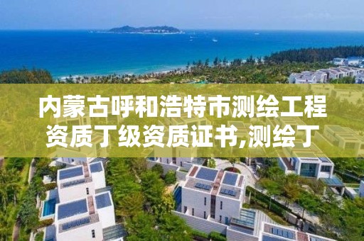 内蒙古呼和浩特市测绘工程资质丁级资质证书,测绘丁级资质全套申请文件