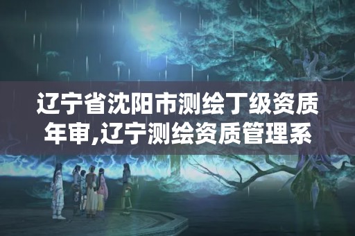 辽宁省沈阳市测绘丁级资质年审,辽宁测绘资质管理系统登录