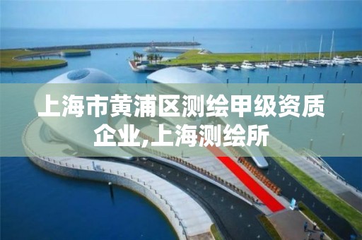 上海市黄浦区测绘甲级资质企业,上海测绘所