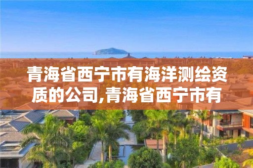 青海省西宁市有海洋测绘资质的公司,青海省西宁市有海洋测绘资质的公司有哪些