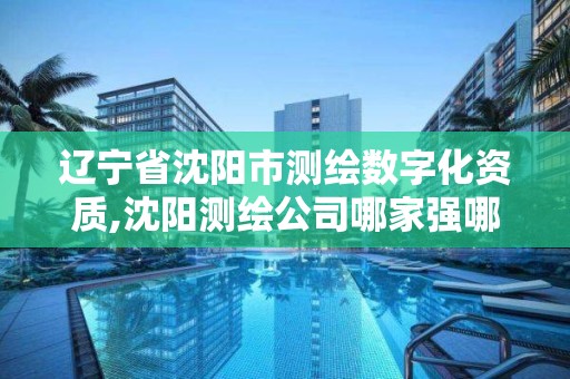 辽宁省沈阳市测绘数字化资质,沈阳测绘公司哪家强哪家好