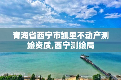 青海省西宁市凯里不动产测绘资质,西宁测绘局