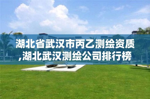 湖北省武汉市丙乙测绘资质,湖北武汉测绘公司排行榜