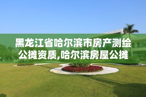 黑龙江省哈尔滨市房产测绘公摊资质,哈尔滨房屋公摊面积多大