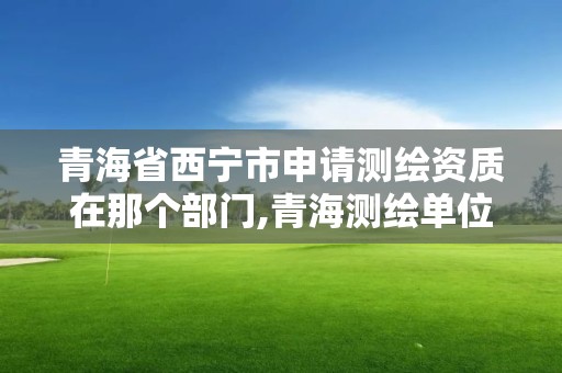 青海省西宁市申请测绘资质在那个部门,青海测绘单位