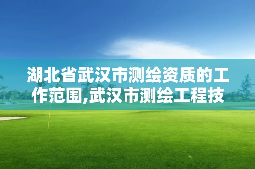 湖北省武汉市测绘资质的工作范围,武汉市测绘工程技术规定