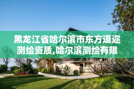 黑龙江省哈尔滨市东方道迩测绘资质,哈尔滨测绘有限公司