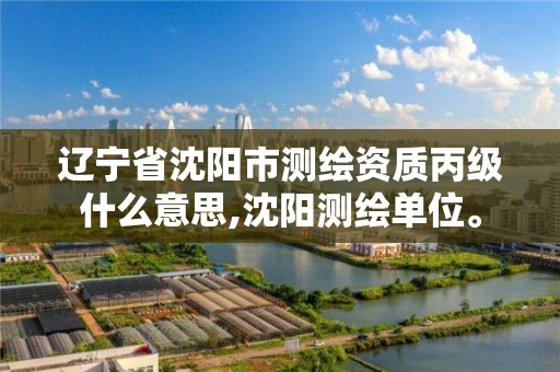 辽宁省沈阳市测绘资质丙级什么意思,沈阳测绘单位。