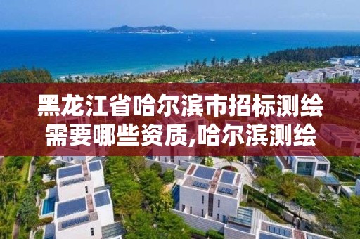 黑龙江省哈尔滨市招标测绘需要哪些资质,哈尔滨测绘局工资怎么样