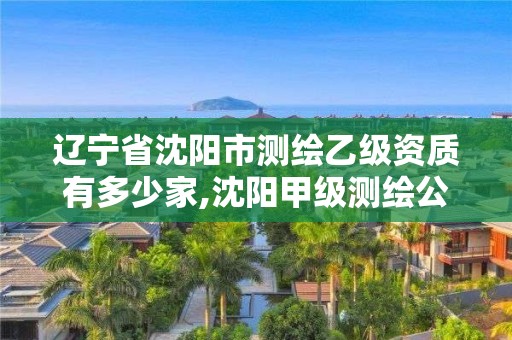 辽宁省沈阳市测绘乙级资质有多少家,沈阳甲级测绘公司