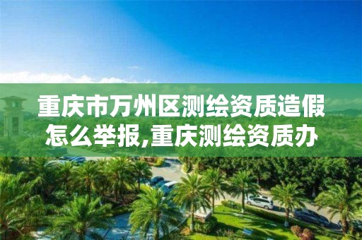 重庆市万州区测绘资质造假怎么举报,重庆测绘资质办理