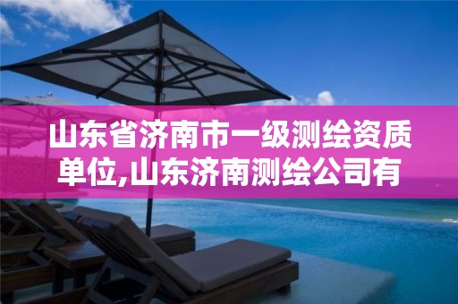 山东省济南市一级测绘资质单位,山东济南测绘公司有哪些