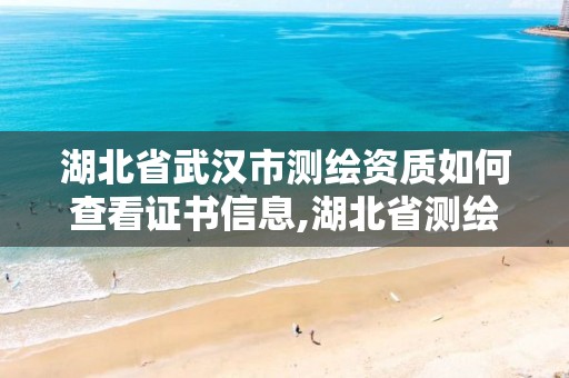 湖北省武汉市测绘资质如何查看证书信息,湖北省测绘资质申请。