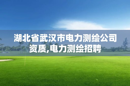 湖北省武汉市电力测绘公司资质,电力测绘招聘