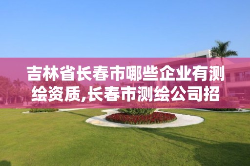 吉林省长春市哪些企业有测绘资质,长春市测绘公司招聘