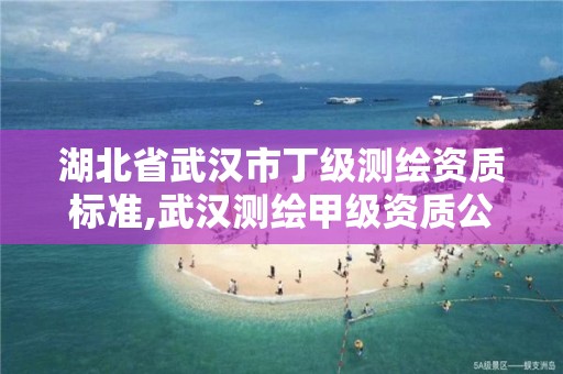 湖北省武汉市丁级测绘资质标准,武汉测绘甲级资质公司