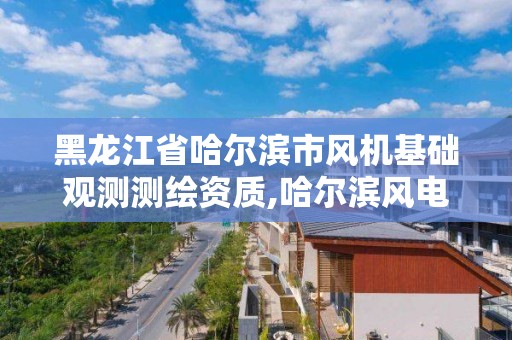 黑龙江省哈尔滨市风机基础观测测绘资质,哈尔滨风电公司