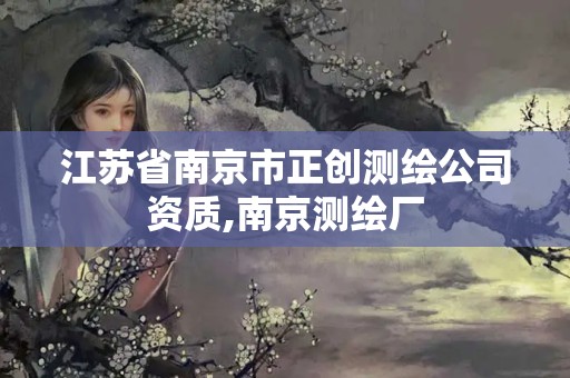 江苏省南京市正创测绘公司资质,南京测绘厂