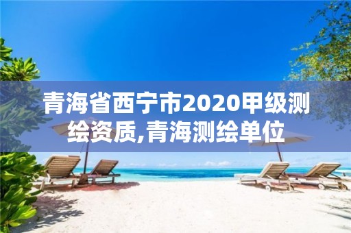 青海省西宁市2020甲级测绘资质,青海测绘单位