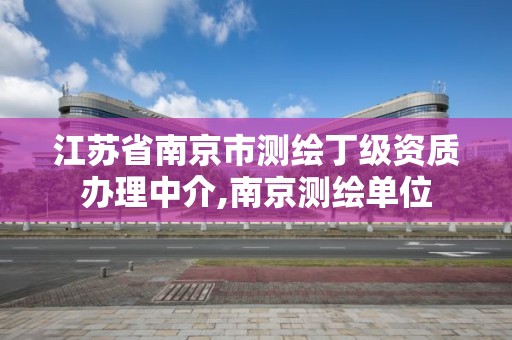 江苏省南京市测绘丁级资质办理中介,南京测绘单位