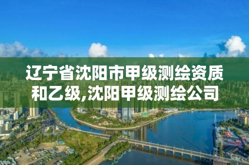 辽宁省沈阳市甲级测绘资质和乙级,沈阳甲级测绘公司