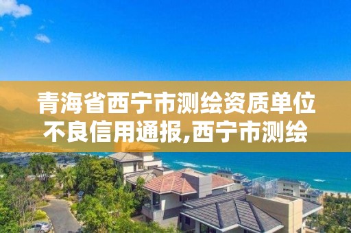 青海省西宁市测绘资质单位不良信用通报,西宁市测绘院