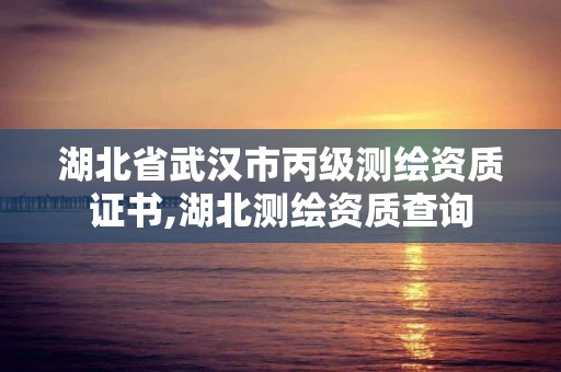 湖北省武汉市丙级测绘资质证书,湖北测绘资质查询