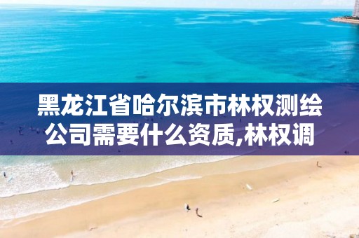 黑龙江省哈尔滨市林权测绘公司需要什么资质,林权调查 测绘资质。