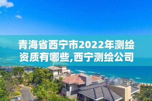 青海省西宁市2022年测绘资质有哪些,西宁测绘公司有哪些