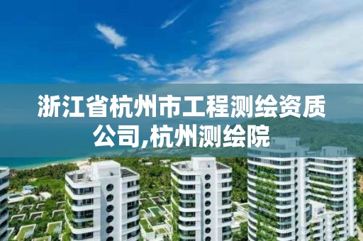 浙江省杭州市工程测绘资质公司,杭州测绘院