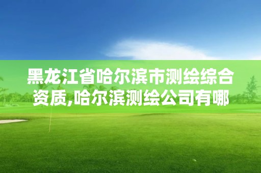 黑龙江省哈尔滨市测绘综合资质,哈尔滨测绘公司有哪些