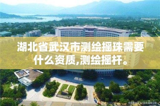 湖北省武汉市测绘摇珠需要什么资质,测绘摇杆。