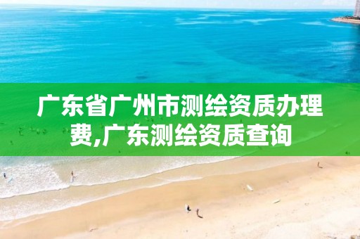 广东省广州市测绘资质办理费,广东测绘资质查询