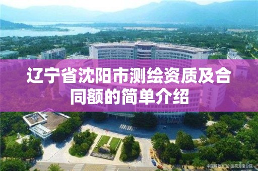 辽宁省沈阳市测绘资质及合同额的简单介绍