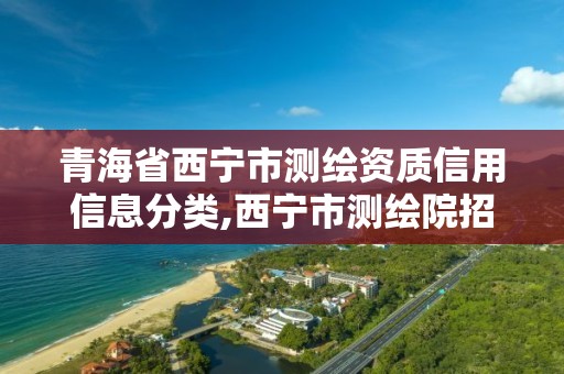 青海省西宁市测绘资质信用信息分类,西宁市测绘院招聘公示