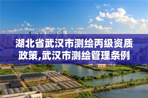 湖北省武汉市测绘丙级资质政策,武汉市测绘管理条例