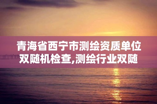 青海省西宁市测绘资质单位双随机检查,测绘行业双随机检查