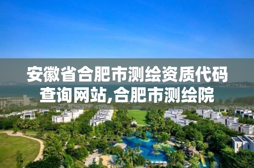 安徽省合肥市测绘资质代码查询网站,合肥市测绘院