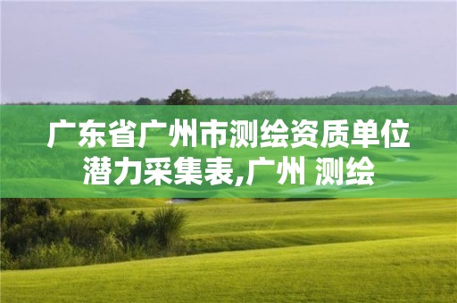 广东省广州市测绘资质单位潜力采集表,广州 测绘