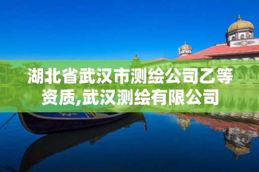 湖北省武汉市测绘公司乙等资质,武汉测绘有限公司