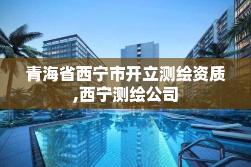 青海省西宁市开立测绘资质,西宁测绘公司