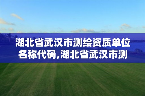 湖北省武汉市测绘资质单位名称代码,湖北省武汉市测绘资质单位名称代码是多少。