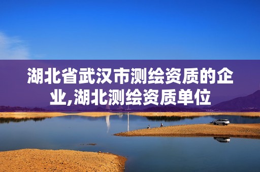 湖北省武汉市测绘资质的企业,湖北测绘资质单位