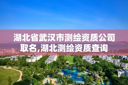 湖北省武汉市测绘资质公司取名,湖北测绘资质查询