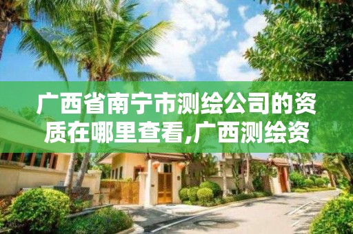 广西省南宁市测绘公司的资质在哪里查看,广西测绘资质查询。